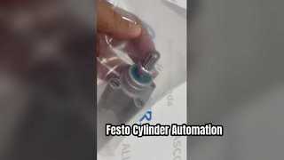 Xy lanh khí nén tiêu chuẩn Festo DSBC-32-100-PPVA-N3 SO