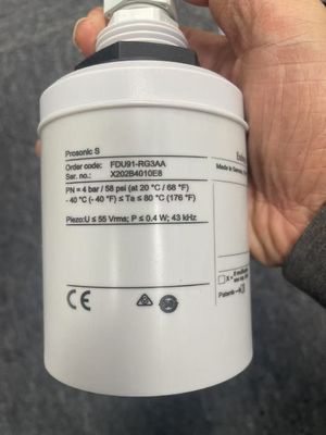 Bộ cảm biến siêu âm Endress Hauser FDU91-RGZAA để đo mức độ và dòng chảy để kết nối với FMU9x