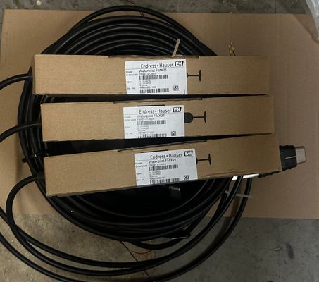 Cảm biến đo mức chất lỏng áp suất tĩnh Endress Hauser FMX21-21JM0/0