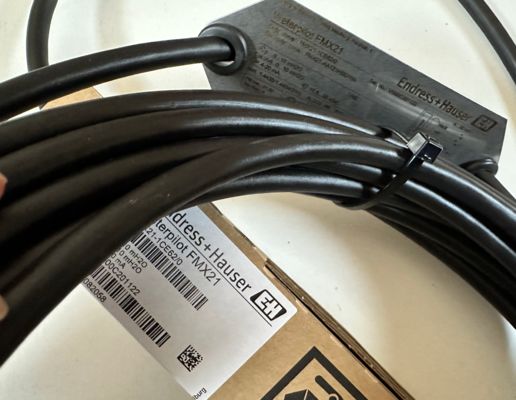 Endress Hauser FMX21-1CE62/0 Máy truyền nồng độ thủy tĩnh với pin đo gốm