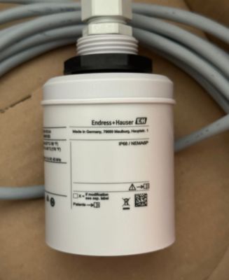 Bộ cảm biến mức độ siêu âm Endress Hauser FDU91-RG1AA