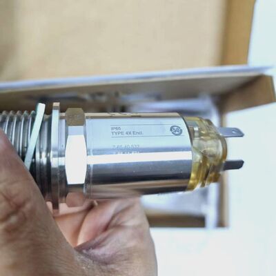 E+H TL31‑1587/0 Công tắc mức điểm rung Liquiphant